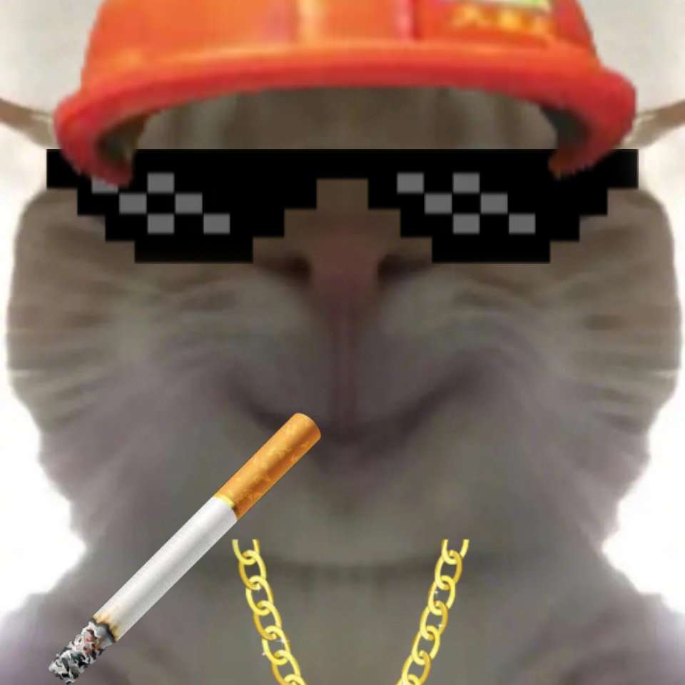 糖果传奇v1.319.1.1 糖果传奇安卓版下载_百分网